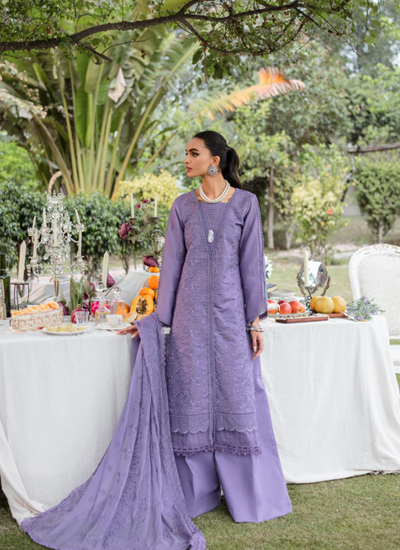 Dyed Embroidered Chikankari Sleeves 2 Pair